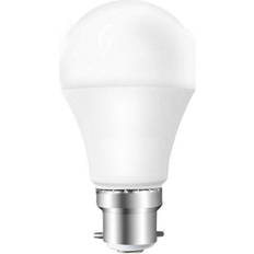 Light Bulbs ExtraStar 7W LED G45 Golf Ball Bulb B22 Daylight 6500K