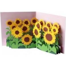 2totango Pop-up Card Sunflower Field Kort