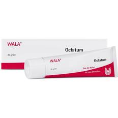 Medicines ECHINACEA/VISCUM comp.Gelatum 30 Gramm