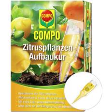 Gartenspritzen Compo Zitruspflanzen-Aufbaukur