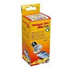 Lucky Reptile Halogen Sun Mini