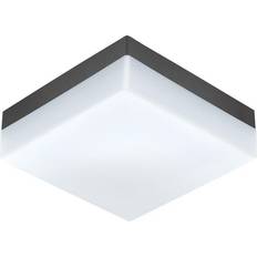 Loops IP44 Wall Flush Light