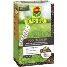 Compo SAAT Trocken-Rasen, Hitze