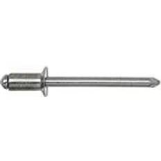 Byggematerialer Gesipa Blindnitter Stål Aluminium Set of 500
