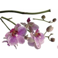 Violett Einrichtungsdetails Komar Decosticker Orchidee 100