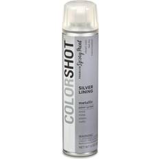 Spray Paints COLORSHOT Silver Lining Spray Paint, 9 Oz