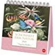Heye Premium Postkartenkalender 2024