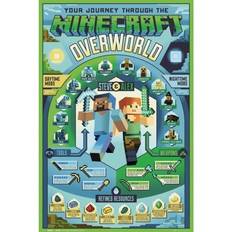 Overworld Biome Maxi