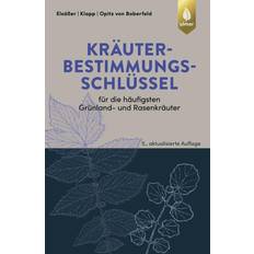 Kräutersamen Kräuterbestimmungsschlüssel Zur