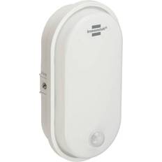 Ovalleuchte OL 1650 P