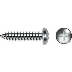 Building Materials 7981 4.2x45 Philips Sheet Metal Screw