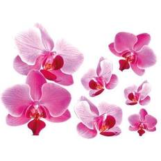 Wandtattoo Blumen Rosa Orchideen