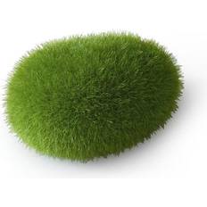 Mossbollar S