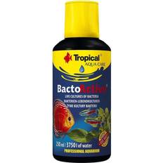 Tropical Bacto Active Care for Aquariums 250ml