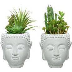 Keramik Kunstige planter BigBuy Garden Dekorativ PVC Sukkulentplante Kunstig plante
