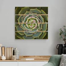 Casette da gioco Impression sur bois Succulent Echeveria Ben Badis