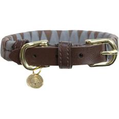 Kentucky Triangle Dog Collar