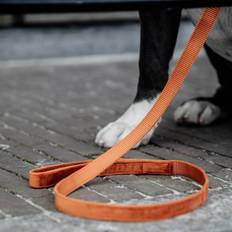 Kentucky Dog Leash Velvet 120 cm Orange