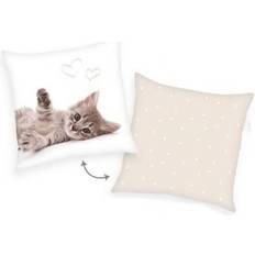 Herding Kitten Sweat Dreams Pillow