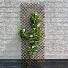60x180 Nature espalier 60x180 piletræ