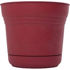 Bloem SP1212 Saturn Planter, 12-Inch, Union