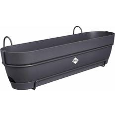 Pots, Plants & Cultivation Elho Vibia Campana Trough Allin 70 cm 70cm
