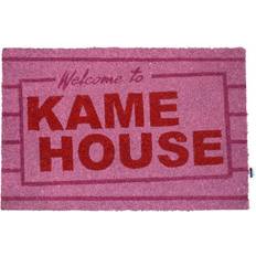 Pink Dørmåtter SD Toys Dragon Ball Doormat Kame Pink