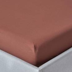 Homescapes Chocolate Egyptian Fitted Thread Bed Sheet Brown