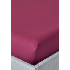 Homescapes Small Double, Plum Egyptian Fitted Bed Sheet Purple