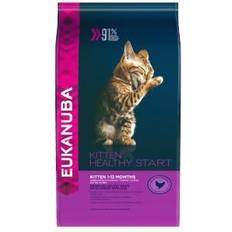 Eukanuba Droogvoer - Kat Huisdieren Eukanuba Kat Kitten 10 kg