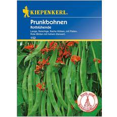 Gemüsesamen Kiepenkerl Prunkbohne Rotblühende Phaseolus coccineus, Inhalt: 6-8 lfd.