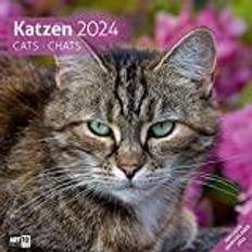 30x30 Katzen Kalender 2024 30x30