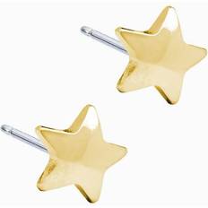 Blomdahl Star Earrings - Gold/Silver