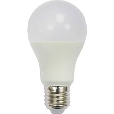 Light Bulbs ENER-J 10pcs led Bulb12W gls A60 led Thermoplastic Lamp E27 6000K