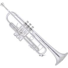 Trumpets Bach 190S43 Bb