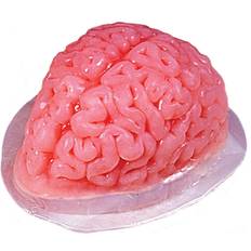 Pink Chokoladeforme Fun World Brain Gelatin Chokoladeform