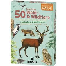 Pfister Moses Deutsch Gesellschaftsspiel
