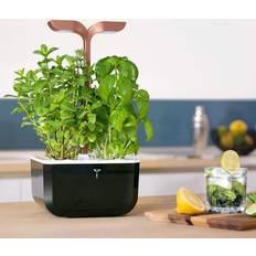 Propagateurs Veritable Potager D'intérieur Exky Smart Copper