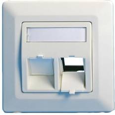 LANVIEW Wall plate, angled, 2 x keystone EURO white