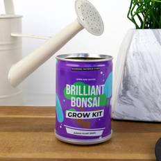 Kit per Piante Gift Republic Brilliant Bonsai Grow Tin Grow Yourself Grow