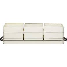 KitchenCraft Set di 3 Vasi in Metallo per Erbe Aromatiche