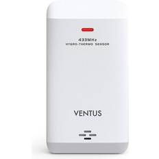 W036