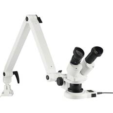 Scienza e Magia Eschenbach Microscopio Stereoscopico Binoculare 20 x Luce Riflessa