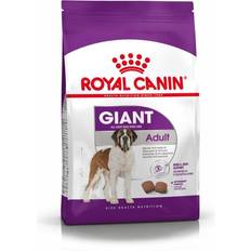 Kuivaruoka Lemmikit Royal Canin Giant Adult