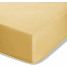 Catherine Lansfield Easy Iron Percale Kammad Enkel Formsytt Lakan Ockra Gul Underlakan Gul (200x)