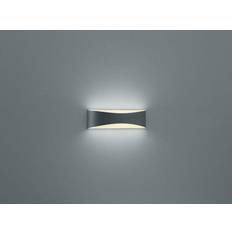 Trio Lighting Konda Wall light