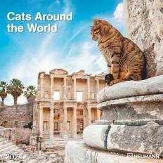 Neumann Cats Around The World 2024 Wand Kalender 30x30 30x60