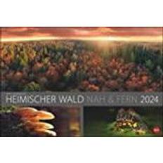 Office Supplies Heye Wald Nah Und Fern Edition Kalender 2024