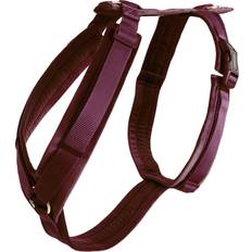 Kentucky Active Dog Harness Velvet - Rouge
