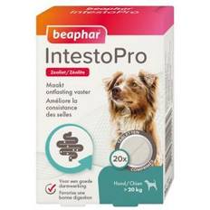 Beaphar IntestoPro Hund 20 kg